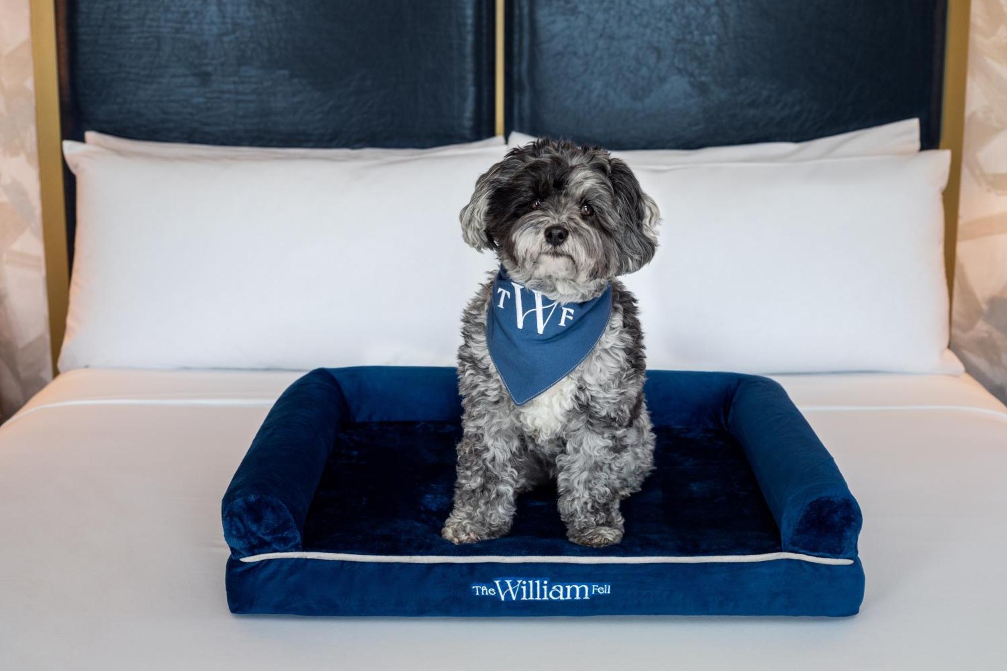The William Fell Baltimore, Tapestry Collection By Hilton Luaran gambar